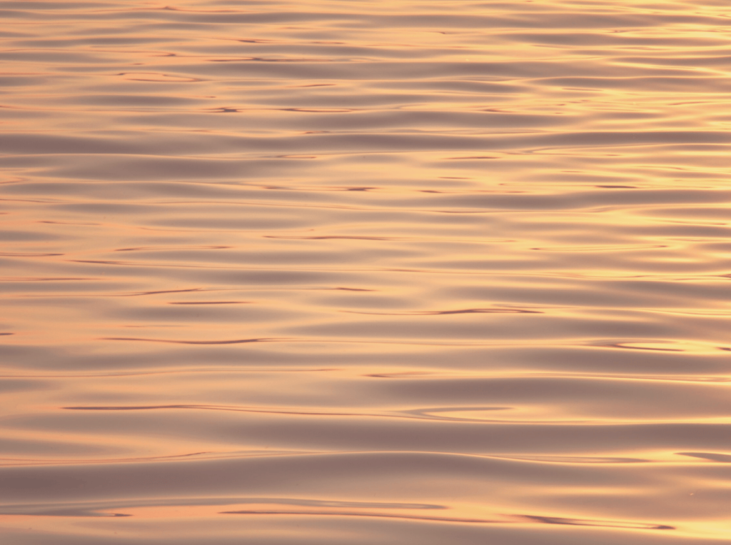 Golden Phase Acupuncture - pink seas header